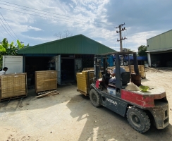 SẢN XUẤT