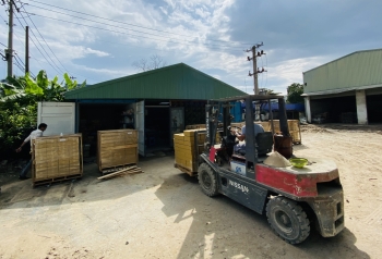 SẢN XUẤT